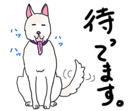 A white dog, KUNIO sticker #892702