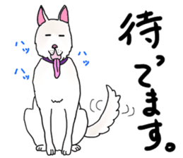 A white dog, KUNIO sticker #892702