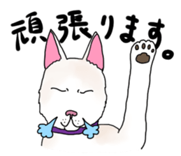 A white dog, KUNIO sticker #892703