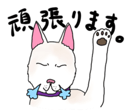 A white dog, KUNIO sticker #892703
