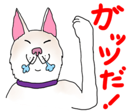 A white dog, KUNIO sticker #892704