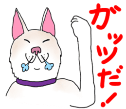 A white dog, KUNIO sticker #892704
