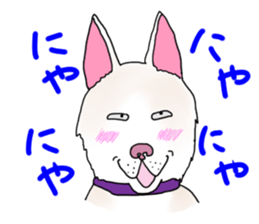 A white dog, KUNIO sticker #892707