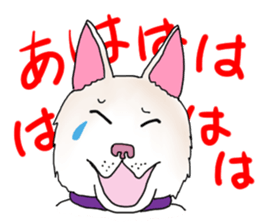 A white dog, KUNIO sticker #892708