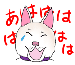 A white dog, KUNIO sticker #892708