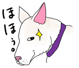 A white dog, KUNIO sticker #892710
