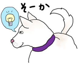 A white dog, KUNIO sticker #892711