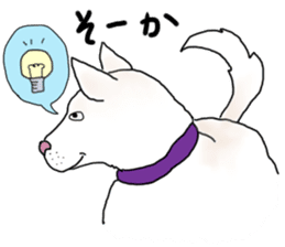 A white dog, KUNIO sticker #892711