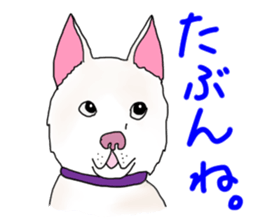 A white dog, KUNIO sticker #892712