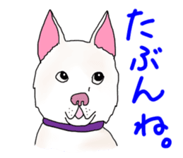 A white dog, KUNIO sticker #892712
