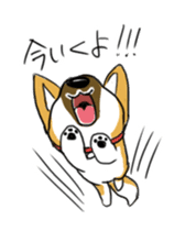 Mix dog's Sticker sticker #892947