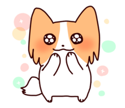 Shiba Inu KORO and his friends sticker #893227