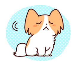 Shiba Inu KORO and his friends sticker #893228