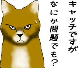 HappyDarts sticker #893561