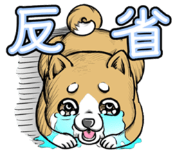 Forgive Me sticker #895835