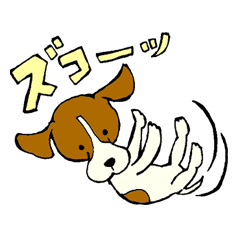 Jack Russell Terrier festival!