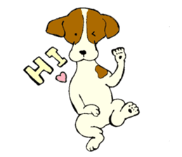 Jack Russell Terrier festival! sticker #897452