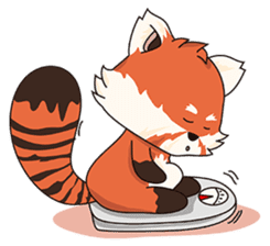 Little Tipsy the Red Panda sticker #897589