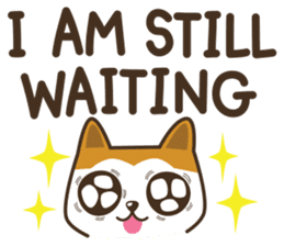 Hachi is waiting for you (English Ver.) sticker #898892