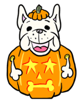 BUHI 4 LIFE in Halloween sticker #899240