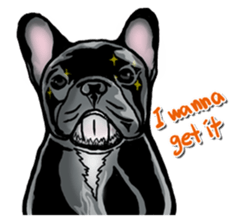 french bulldog's TOYkun English version sticker #900239