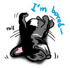 french bulldog's TOYkun English version sticker #900241