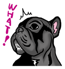 french bulldog's TOYkun English version sticker #900243