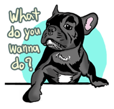french bulldog's TOYkun English version sticker #900245