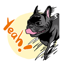 french bulldog's TOYkun English version sticker #900246