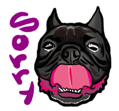 french bulldog's TOYkun English version sticker #900247