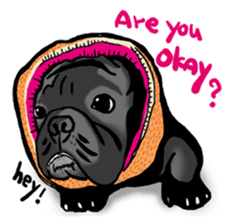 french bulldog's TOYkun English version sticker #900249