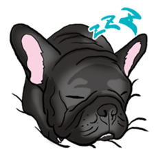 french bulldog's TOYkun English version sticker #900252