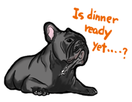 french bulldog's TOYkun English version sticker #900258
