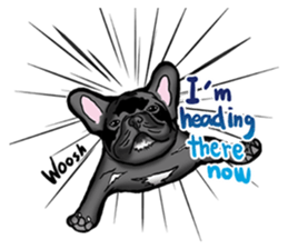 french bulldog's TOYkun English version sticker #900263