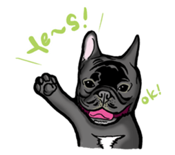french bulldog's TOYkun English version sticker #900264
