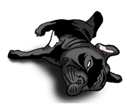 french bulldog's TOYkun English version sticker #900265