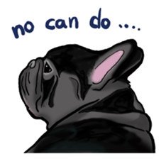 french bulldog's TOYkun English version sticker #900267