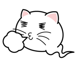 Shiro of Nekotama sticker #900520