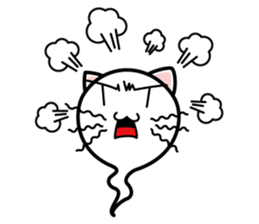 Shiro of Nekotama sticker #900533