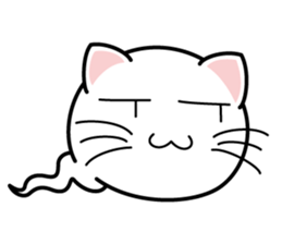 Shiro of Nekotama sticker #900535