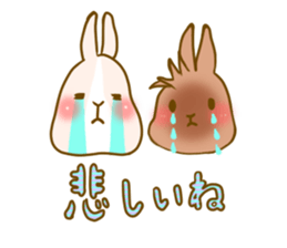 Rabbits Ami and foo sticker #900736