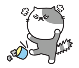 DDOO-C sticker #901130