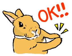 Rabbit Behavior(English ver.) sticker #905319