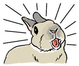Rabbit Behavior(English ver.) sticker #905320