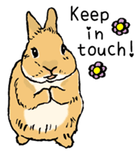 Rabbit Behavior(English ver.) sticker #905325