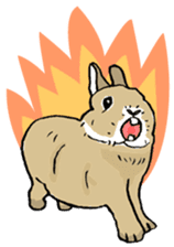 Rabbit Behavior(English ver.) sticker #905328