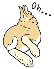 Rabbit Behavior(English ver.) sticker #905332