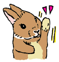 Rabbit Behavior(English ver.) sticker #905333