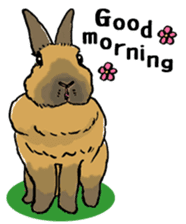 Rabbit Behavior(English ver.) sticker #905344