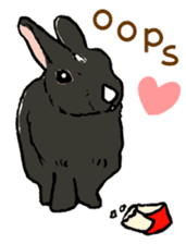 Rabbit Behavior(English ver.) sticker #905346
